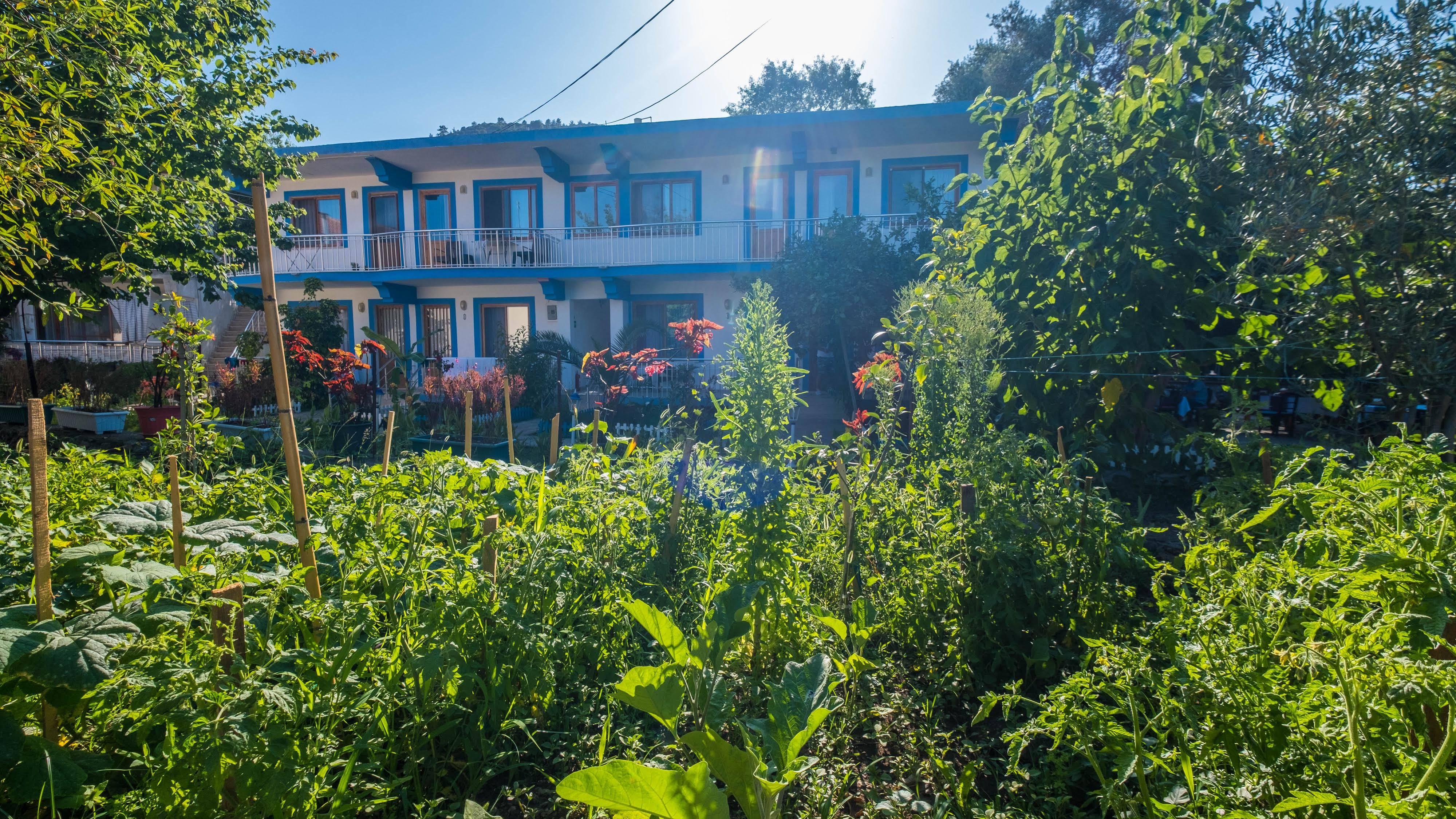 Balalayka Butik Otel Mugla Eksteriør bilde